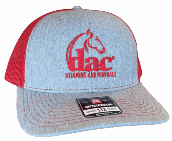 Richardson® 112 Ball Caps - Equine