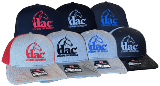 Richardson® 112 Ball Caps - Equine
