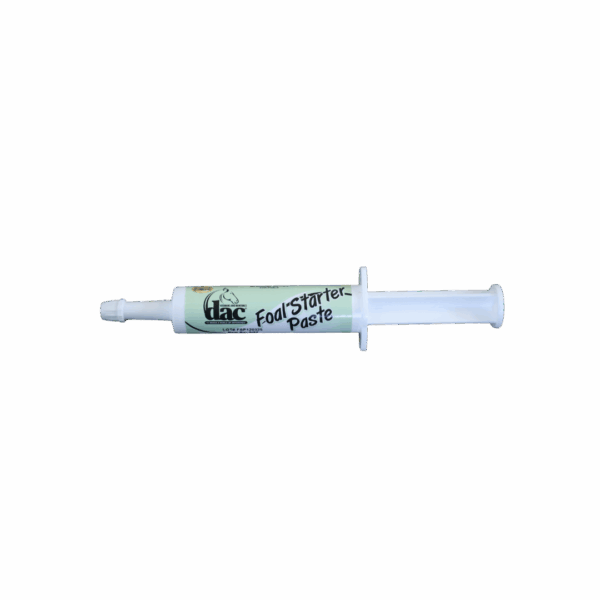 Foal Starter Paste